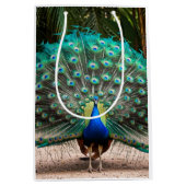 Peacock Feather Fanning Mittlere Geschenktüte (Vorderseite)