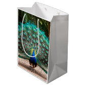 Peacock Feather Fanning Mittlere Geschenktüte (Rückseite Schrägansicht)
