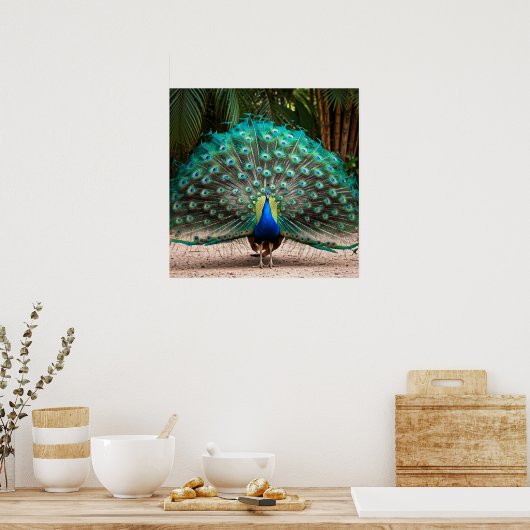 Peacock Feather Fanning Poster (Küche)