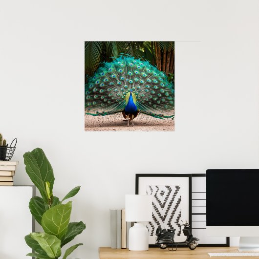Peacock Feather Fanning Poster (Heimbüro)
