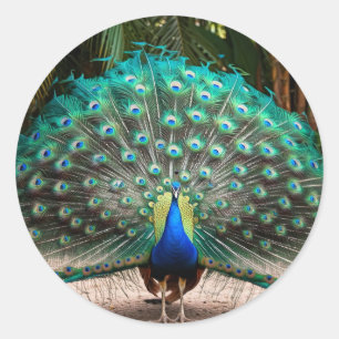 Peacock Feather Fanning Runder Aufkleber