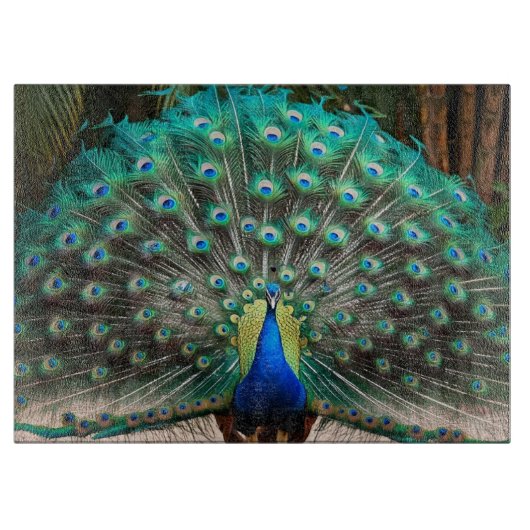 Peacock Feather Fanning Schneidebrett (Vorderseite)