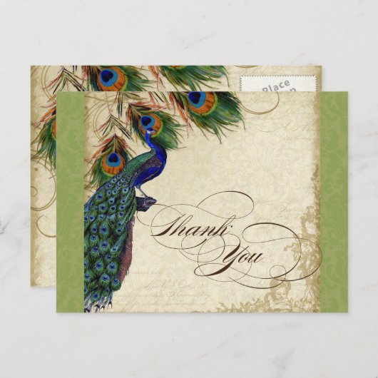 Peacock & Feather Formal Danke, dass Sie Lime Gree Postkarte (Vorne/Hinten)