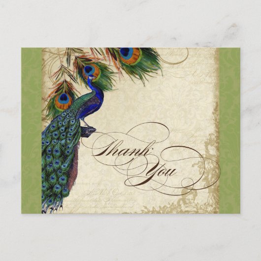 Peacock & Feather Formal Danke, dass Sie Lime Gree Postkarte (Vorderseite)