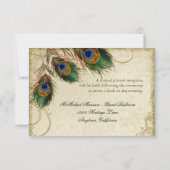 Peacock & Feather Formal Empfang Einladung Tan (Rückseite)