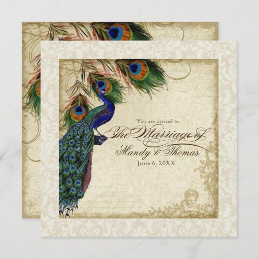 Peacock & Feather Formal Wedite Einladung Cream Ta (Vorne/Hinten)