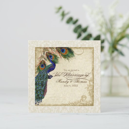 Peacock & Feather Formal Wedite Einladung Cream Ta (Stehend Vorderseite)