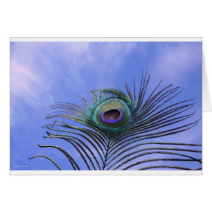 Peacock Feather Foto Light Blue Card