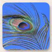 Peacock Feather Fotografie Getränkeuntersetzer (Vorderseite)