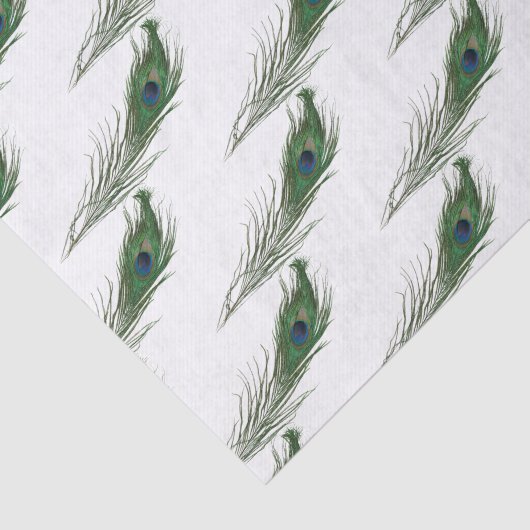 Peacock Feather Gemustert | Geeignet Seidenpapier (Ausschnitt)