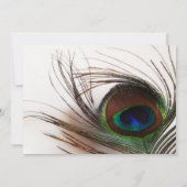 Peacock Feather Glamour Hochzeitstag Einladung (Rückseite)