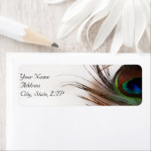 Peacock Feather Glamour Rücksendeadresse (Insitu)