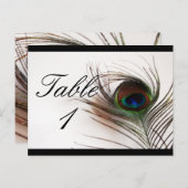 Peacock Feather Glamour Tischnummer (Vorne/Hinten)