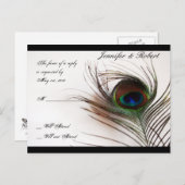 Peacock Feather Glamour UAWG Postkarte (Vorne/Hinten)