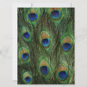 Peacock Feather Green 6,5" x 8 Einladung zur Hochz (Rückseite)