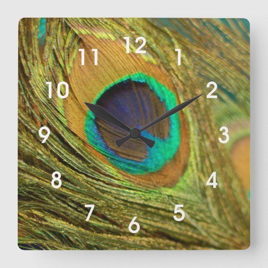 Peacock Feather Home Decor Wall Clock Quadratische Wanduhr (Vorderseite)