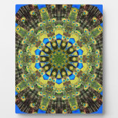 Peacock Feather Kaleidoskop 1 Fotoplatte (Vorderseite)