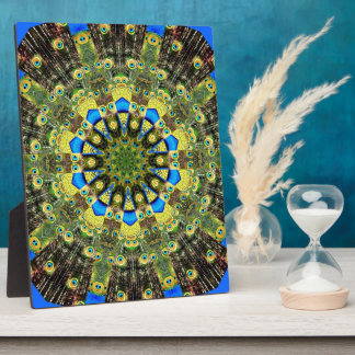 Peacock Feather Kaleidoskop 1 Fotoplatte