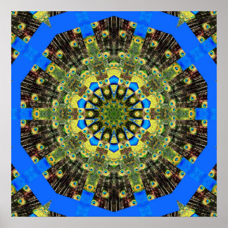 Peacock Feather Kaleidoskop 1 Poster