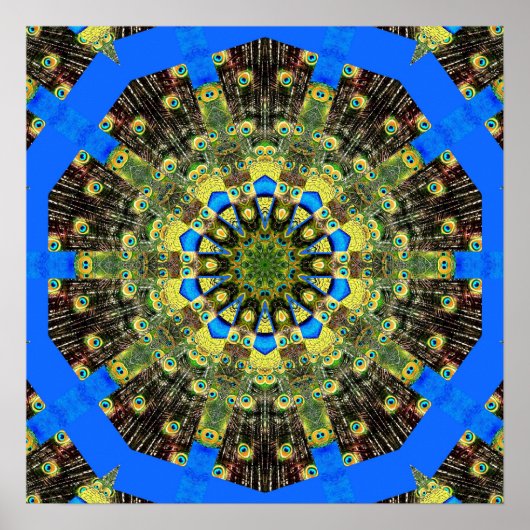 Peacock Feather Kaleidoskop 1 Poster (Vorne)