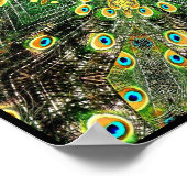 Peacock Feather Kaleidoskop 2 Poster (Ecke)