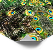 Peacock Feather Kaleidoskop 2 Poster (Ecke)