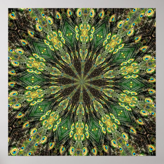 Peacock Feather Kaleidoskop 2 Poster (Vorne)