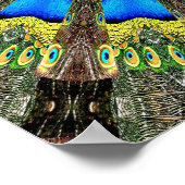 Peacock Feather Kaleidoskop 3 Poster (Ecke)