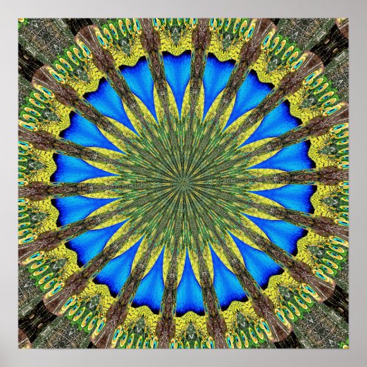 Peacock Feather Kaleidoskop 3 Poster (Vorne)