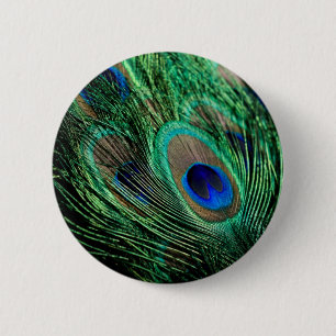 Peacock Feather Lucky Button