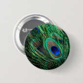 Peacock Feather Lucky Button (Vorne & Hinten)