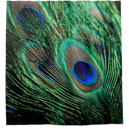 Peacock Feather Lucky Duschvorhang (Vorderseite)