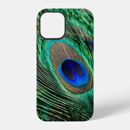 Peacock Feather Lucky iPhone Hülle (Rückseite)