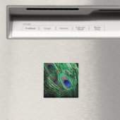 Peacock Feather Lucky Magnet (In Situ (Geschirrspüler))