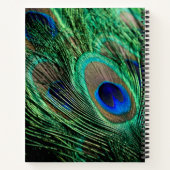Peacock Feather Lucky Notizblock (Rückseite)