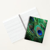 Peacock Feather Lucky Notizblock (Innenseite)