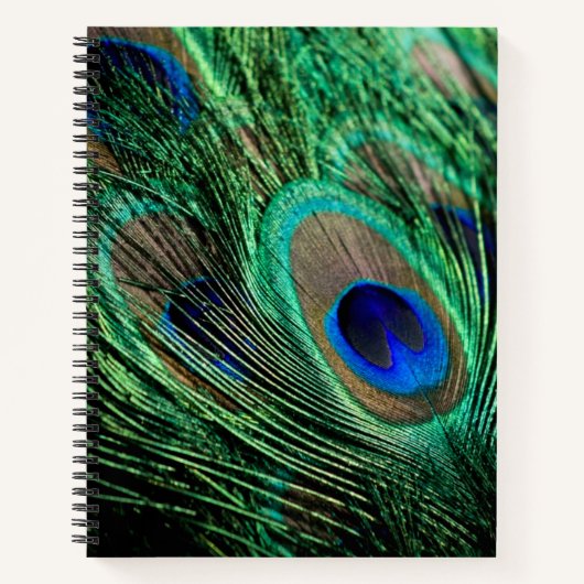 Peacock Feather Lucky Notizblock (Vorderseite)