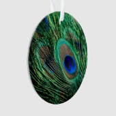 Peacock Feather Lucky Ornament (Vorderseite)