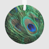 Peacock Feather Lucky Ornament (Rückseite)