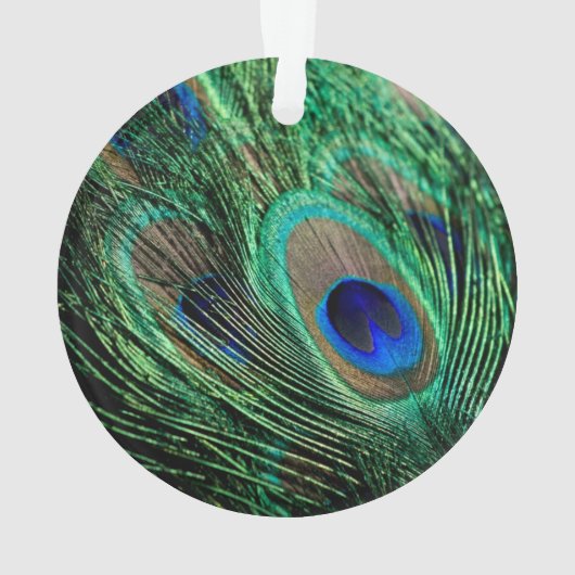 Peacock Feather Lucky Ornament (Rückseite)