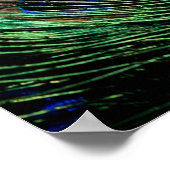 Peacock Feather Lucky Poster (Ecke)