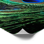Peacock Feather Lucky Poster (Ecke)