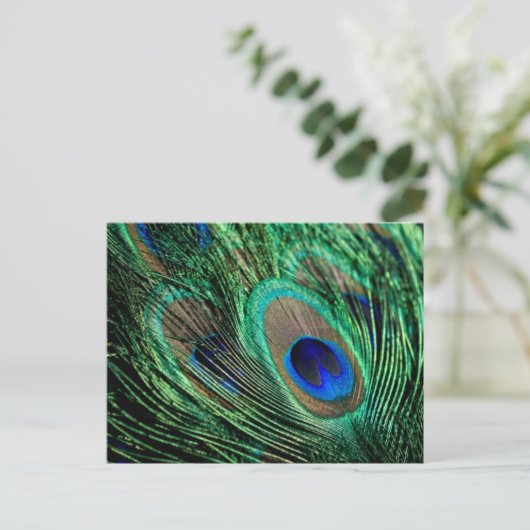 Peacock Feather Lucky Postkarte (Stehend Vorderseite)