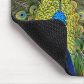 Peacock Feather Mousepad (Ecke)