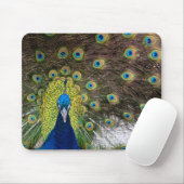 Peacock Feather Mousepad (Mit Mouse)