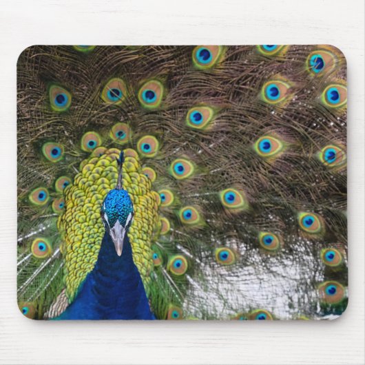 Peacock Feather Mousepad (Vorne)