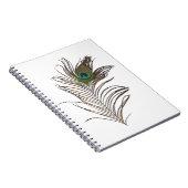 Peacock Feather Notizblock (Rechte Seite)