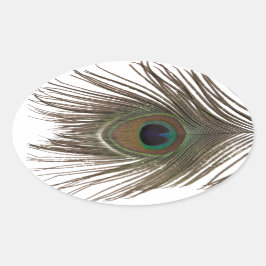 Peacock feather oval ovaler aufkleber