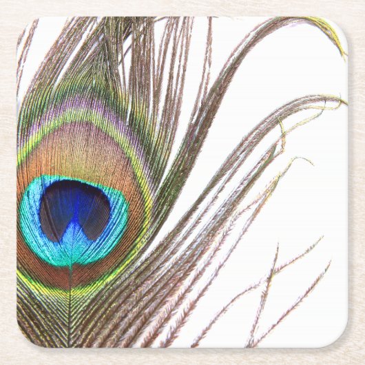 Peacock Feather Paper Untersetzer (Vorderseite)