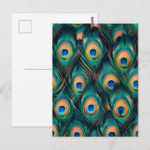 Peacock Feather Pattern Postkarte (Vorne/Hinten)